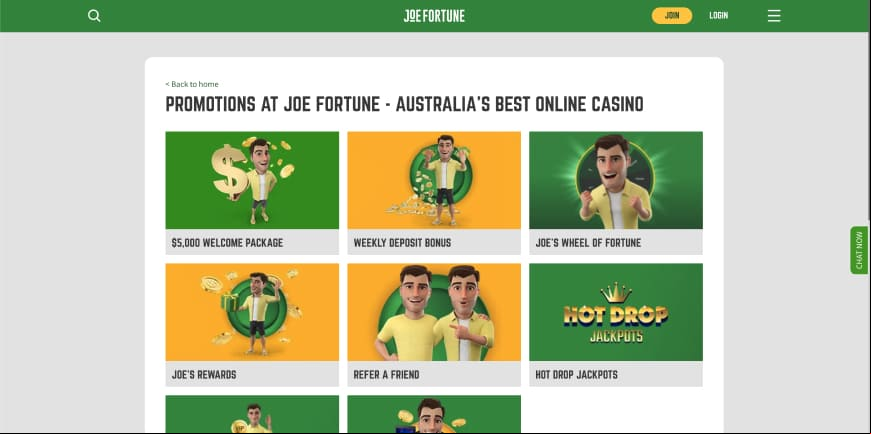 Joe Fortune screen 4