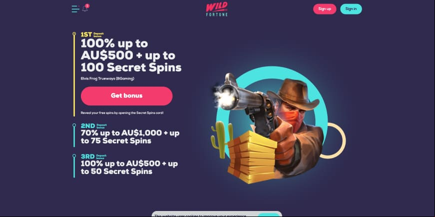 Wild Fortune screen 4